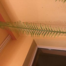tratament palmier cu frunze uscate