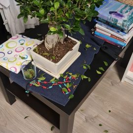 Ficus ginseng –  cadere frunze si daunatori