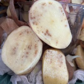 Cartof, pete necrotice in interiorul tuberculului