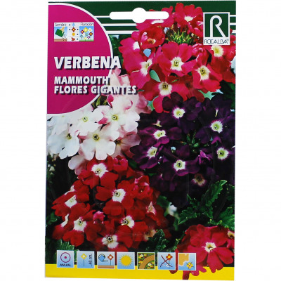 rocalba seed mammouth flores gigantes 1 g - 1