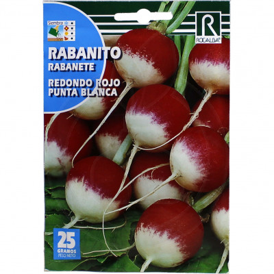 rocalba seed radish rojo punta blanca 25 g - 3