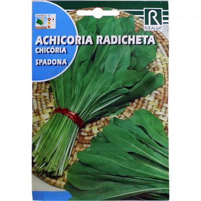 rocalba seed artichoke spadona 10 g - 4