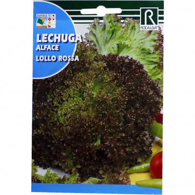 rocalba seed red lettuce lollo rossa 6 g - 1
