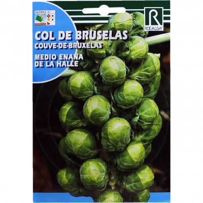 rocalba seed brussel sprouts medio enana de la halle 25 g - 1