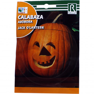 rocalba seed decor pumpkin jack o lantern 5 g - 1