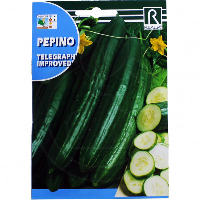 rocalba seed cucumbers telegraph improved 1 g - 1