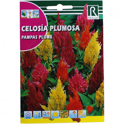 rocalba seed pampas plume 2 g - 2