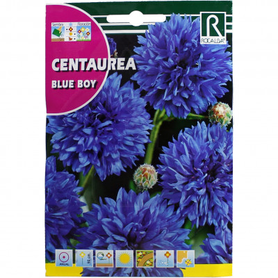 rocalba seed blue boy 10 g - 1