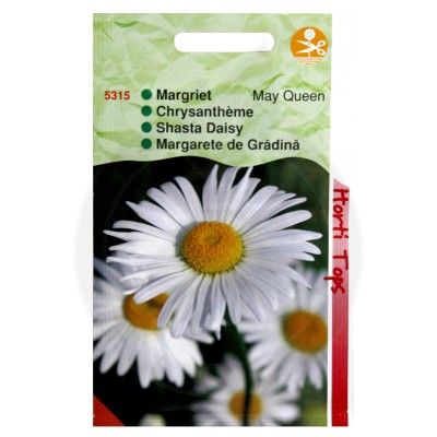 crizanteme mayqueen 0 75 g - 1