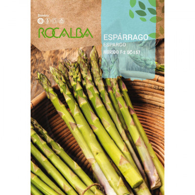 seed asparagus hibrido f 2 uc 157 500 g - 1
