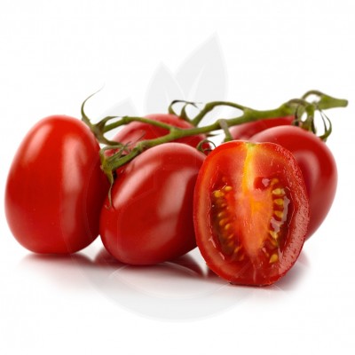 tomate missouri 250 g - 1