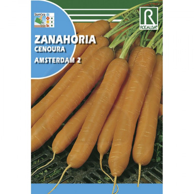 rocalba seed carrot amsterdam 2 100 g - 1