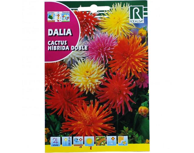 Dalie Cactus Hibrida Doble, 0.5 g
