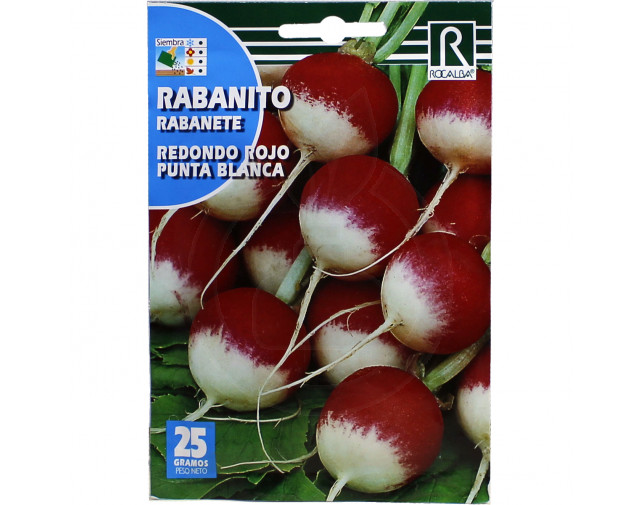 Ridichi Redondo Rojo Punta Blanca, 25 g