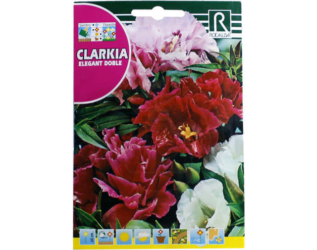 Clarkia Elegant Doble, 4 g