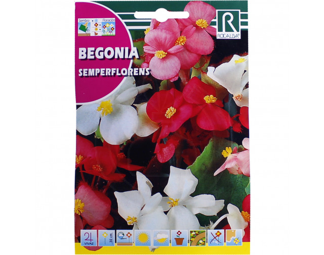 Begonia Semperflorens, 0,1 g