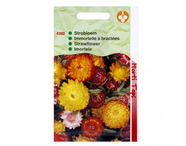 Imortele, Helichrysum Bracteatum, 0.75 g