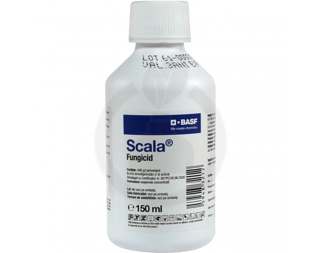 Scala, 150 ml