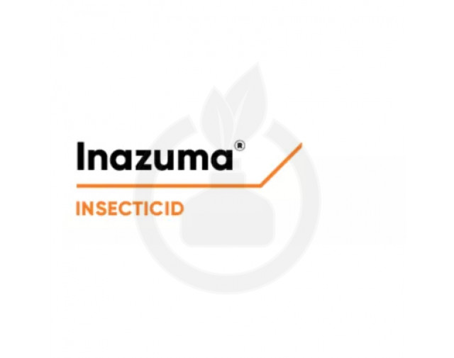 Inazuma, 1 kg