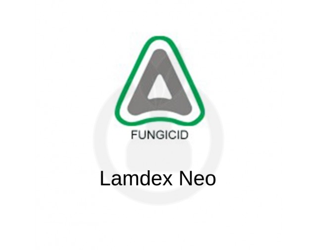 Lamdex Neo, 1 kg