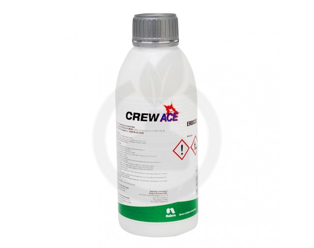 Crew Ace, 500 ml