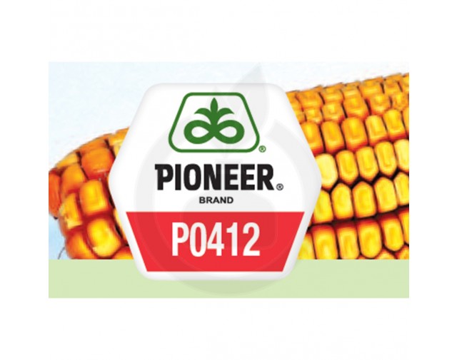 Seminte porumb Pioneer Aquamax P0412, sac 80 mii boabe