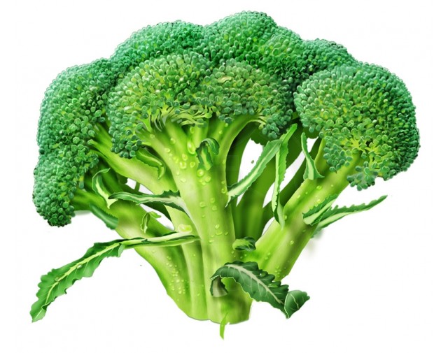 Broccoli Calabrese, 10 g