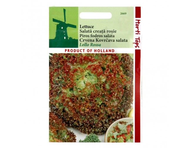 Salata Creata Lollo Rossa, 2 g