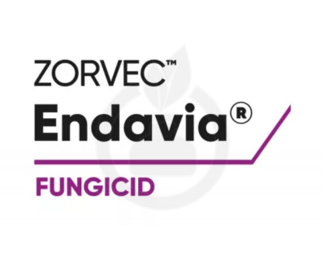 Zorvec Endavia, 5 litri