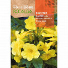 rocalba seed yellow bells 1 g - 1