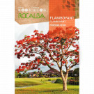 rocalba seed flamboyant tree 1 g - 2