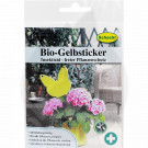 schacht adhesive trap interior insect gelbsticker set of 10 - 3