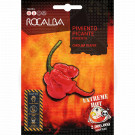 rocalba seed hot pepper carolina reaper 8 seeds - 2