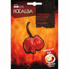 rocalba seed hot pepper scotch bonnet 25 seeds - 2