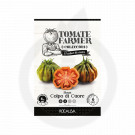 rocalba seed tomatoes colpo di cuore 8 seeds - 1