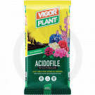 vigorplant substrate acidophilic plants professional 20 l - 1