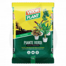 vigorplant substrate green plants professional 10 l - 1