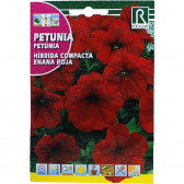 rocalba seed hibrida compacta enana roja 0 5 g - 1