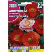 rocalba seed poppy gigante de islandia 1 g - 1