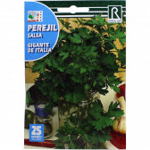rocalba seed parsley gigante de italia 25 g - 3