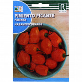 rocalba seed habanero orange 0 5 g - 1