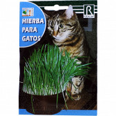 rocalba seed catnip 10 g - 1