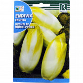 rocalba seed endive mechelse middelvroeg 10 g - 1