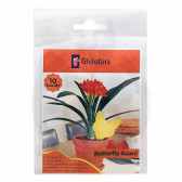 schacht adhesive trap interior insect gelbsticker set of 10 - 5