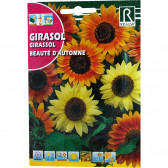 rocalba seed beaute d automne 10 g - 1