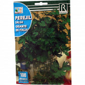 rocalba seed parsley gigante de italia 100 g - 1