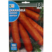 rocalba seed carrot nantesa 2 100 g - 1