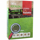 rocalba lawn seeds for regeneration 1 kg - 6
