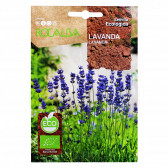 rocalba seed lavender 0 2 g - 4