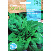 rocalba seed spinach gigante de invierno 25 g - 3
